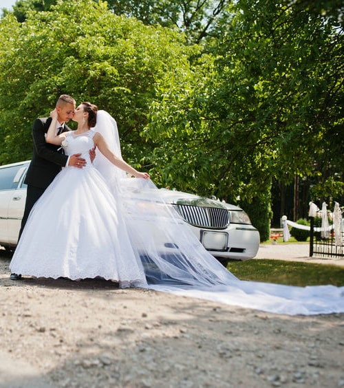 Limo Service Orland Park wedding